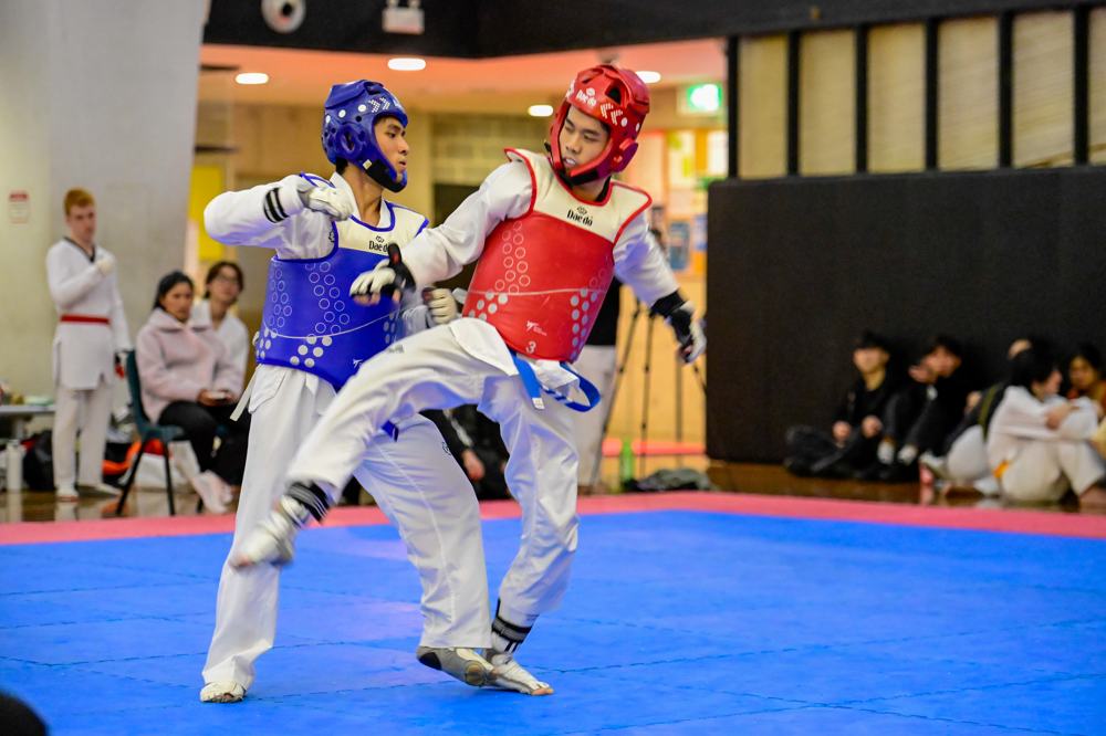 TDog Taekwondo competition G303