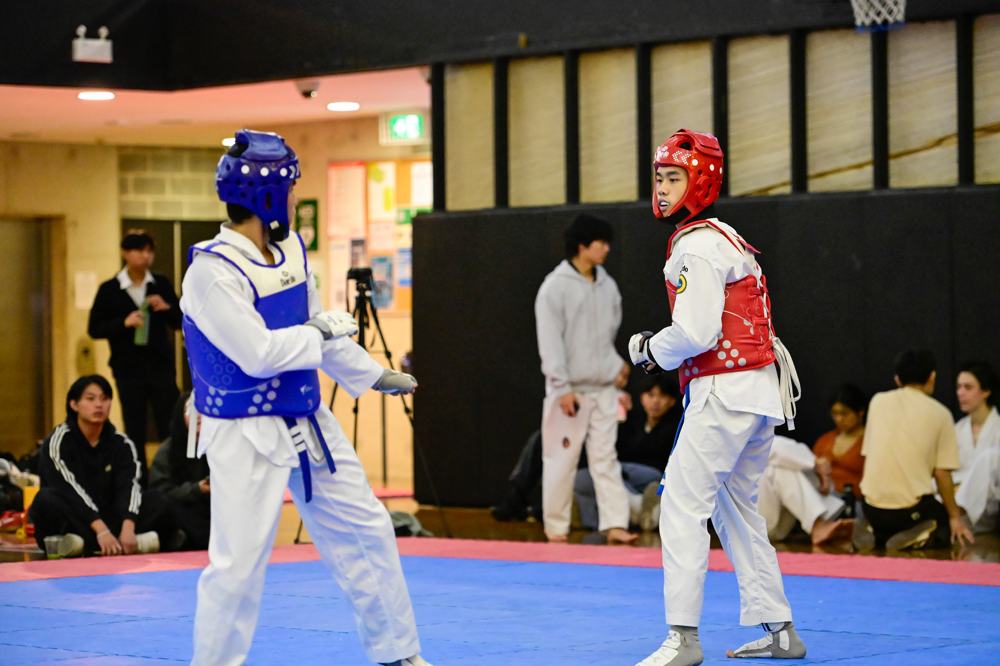 TDog Taekwondo competition G304