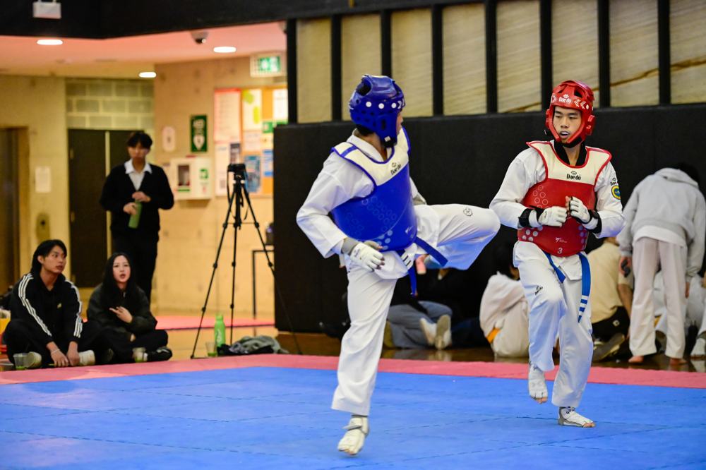 TDog Taekwondo competition G306