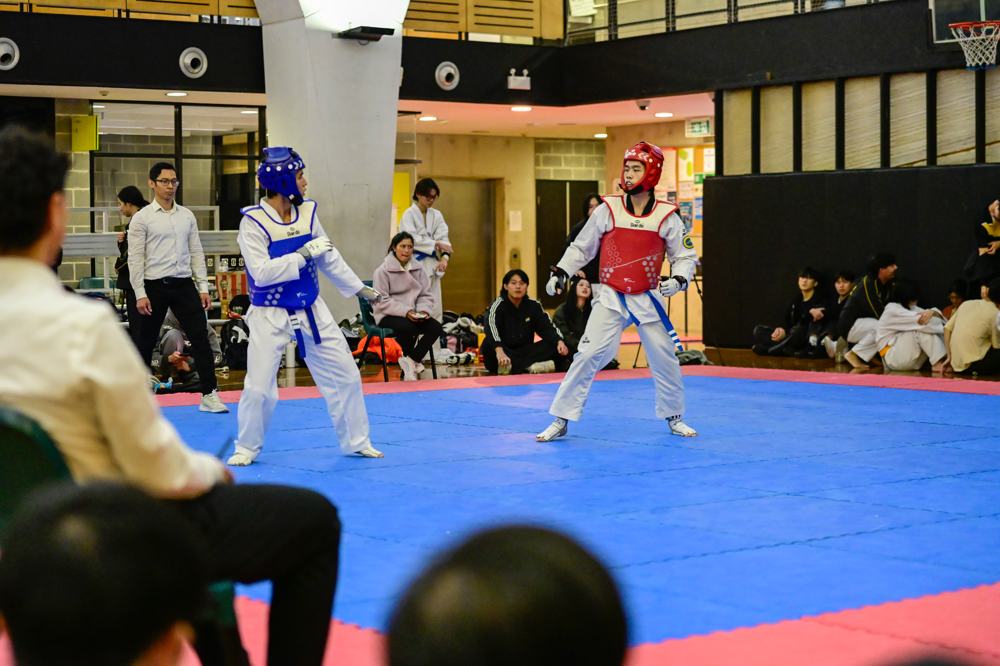 TDog Taekwondo competition G307