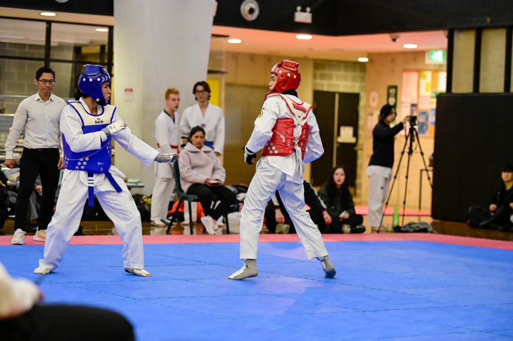 TDog Taekwondo competition G309