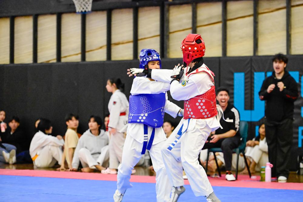 TDog Taekwondo competition G310