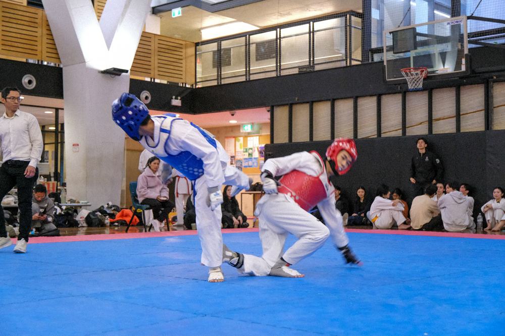 TDog Taekwondo competition G311