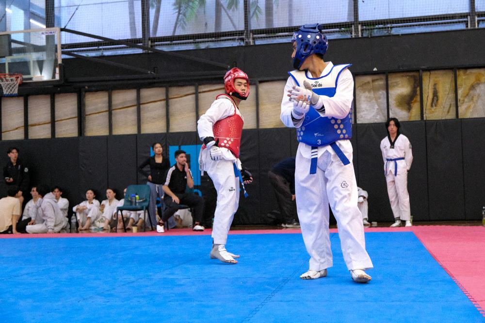 TDog Taekwondo competition G312
