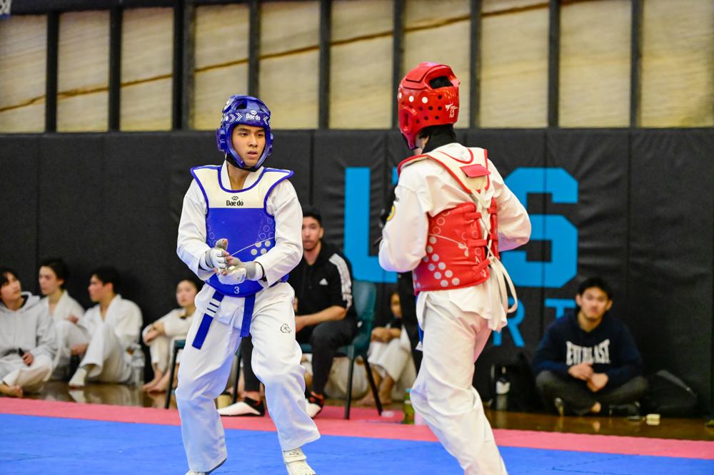 TDog Taekwondo competition G313
