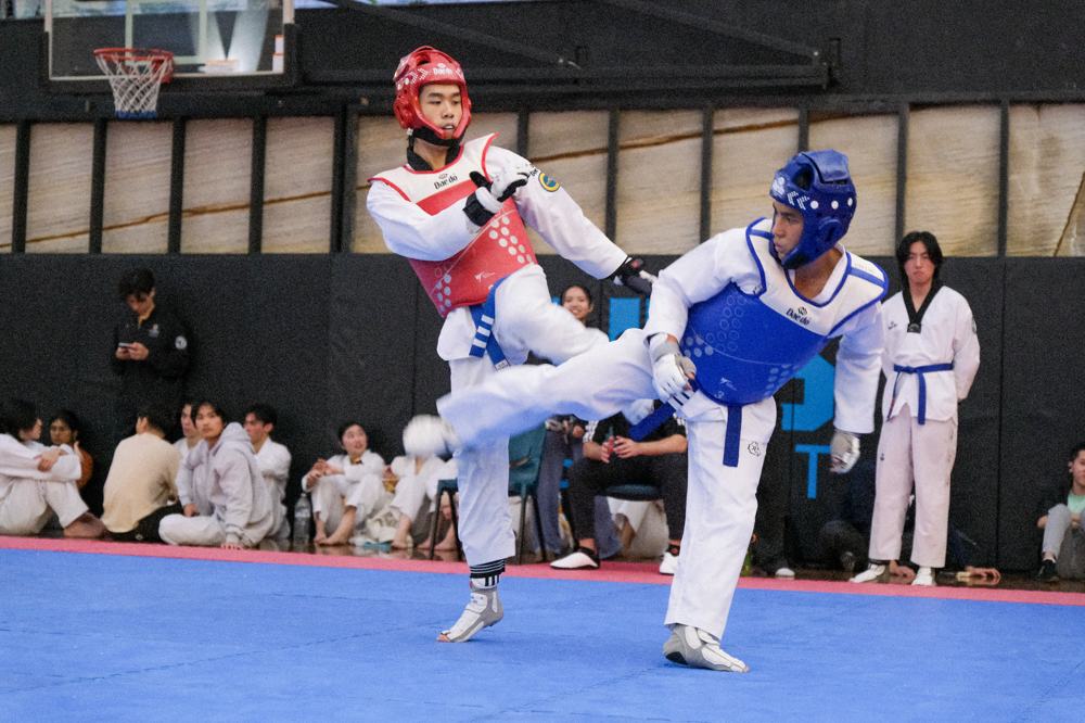 TDog Taekwondo competition G314