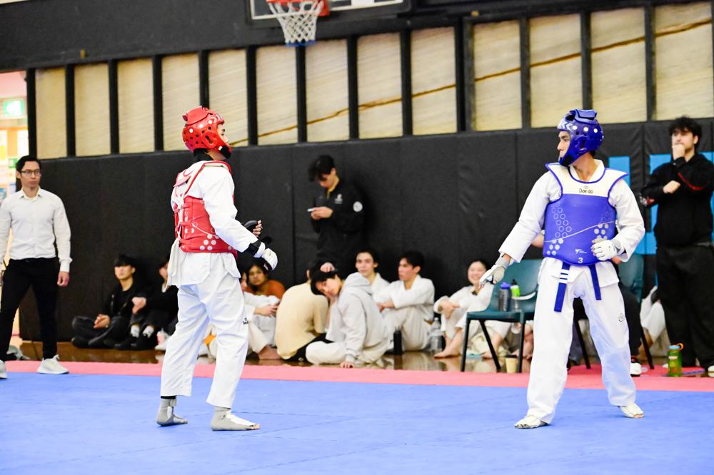 TDog Taekwondo competition G315