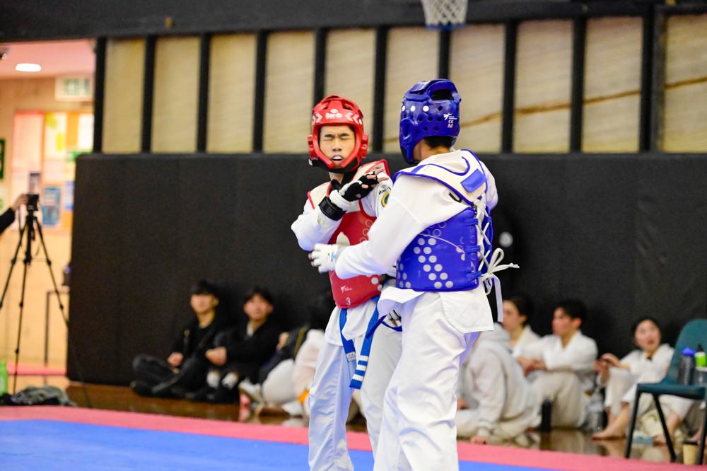 TDog Taekwondo competition G316