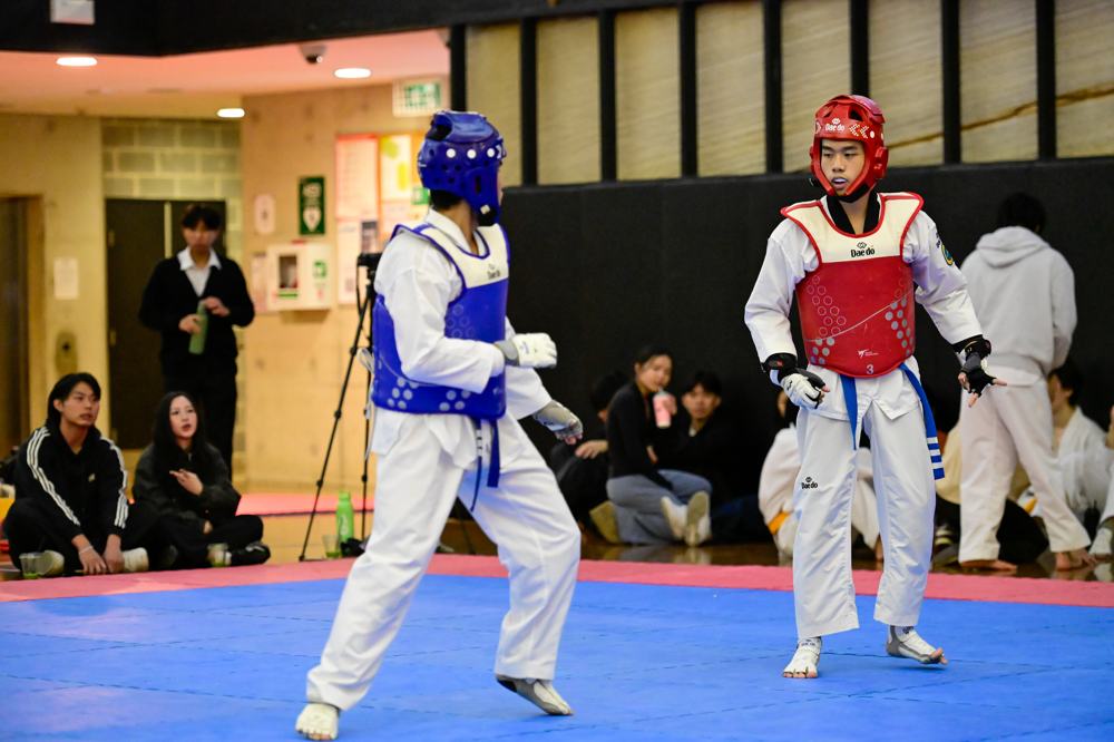 TDog Taekwondo competition G319