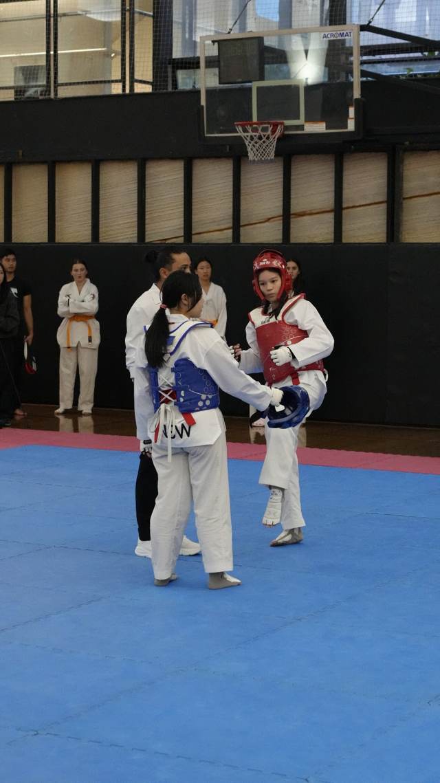 TDog Taekwondo competition G32