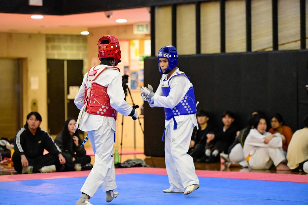 TDog Taekwondo competition G321
