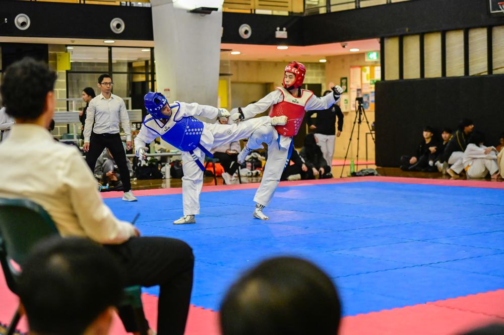 TDog Taekwondo competition G323