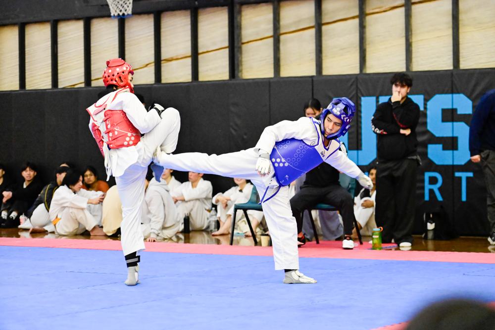 TDog Taekwondo competition G325