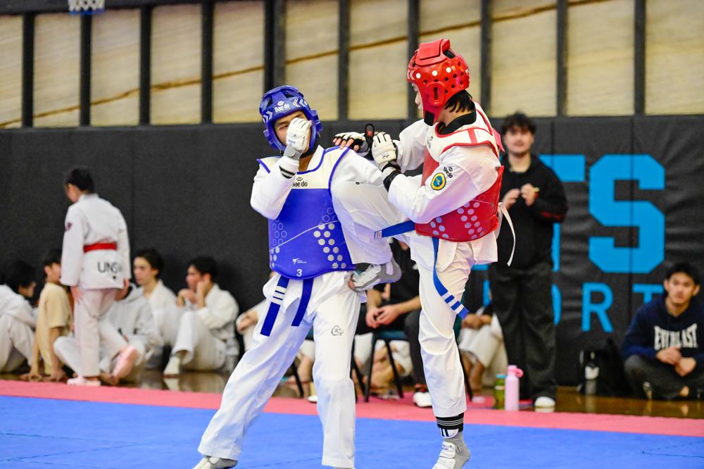TDog Taekwondo competition G326