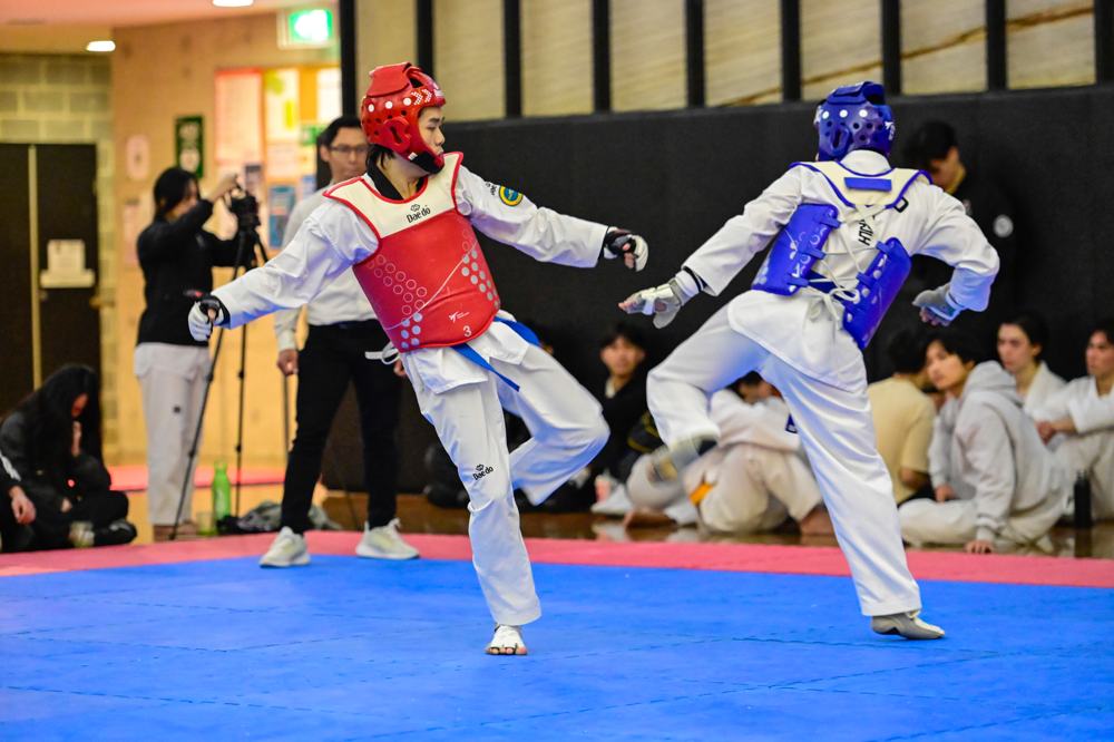 TDog Taekwondo competition G328