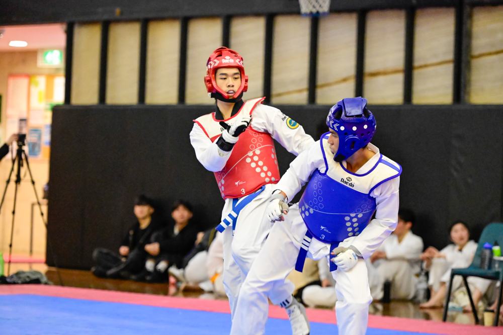 TDog Taekwondo competition G329