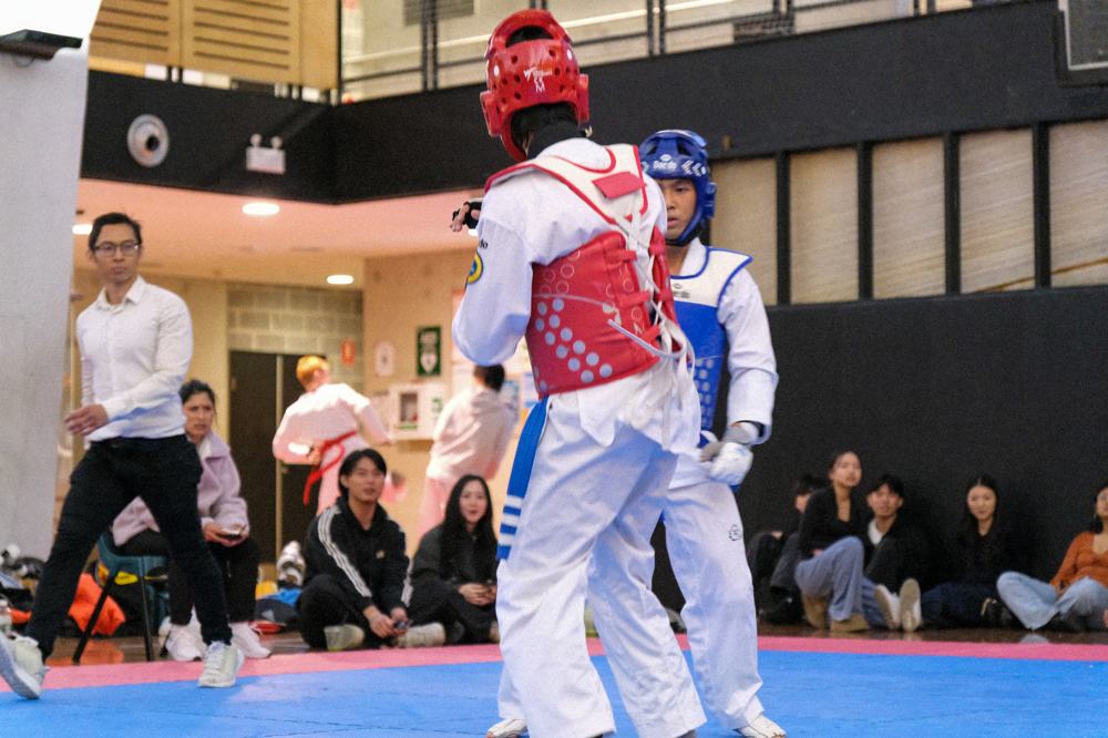 TDog Taekwondo competition G330