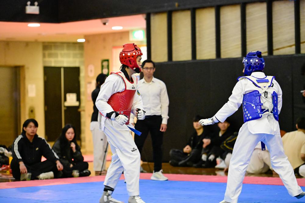 TDog Taekwondo competition G333