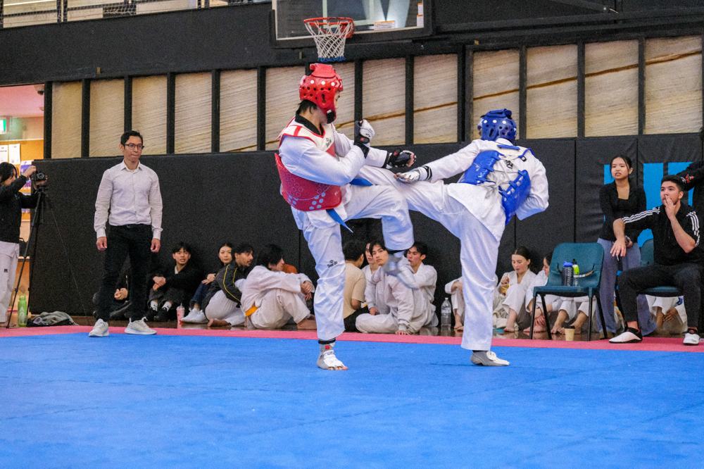 TDog Taekwondo competition G334