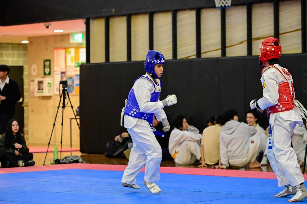 TDog Taekwondo competition G335