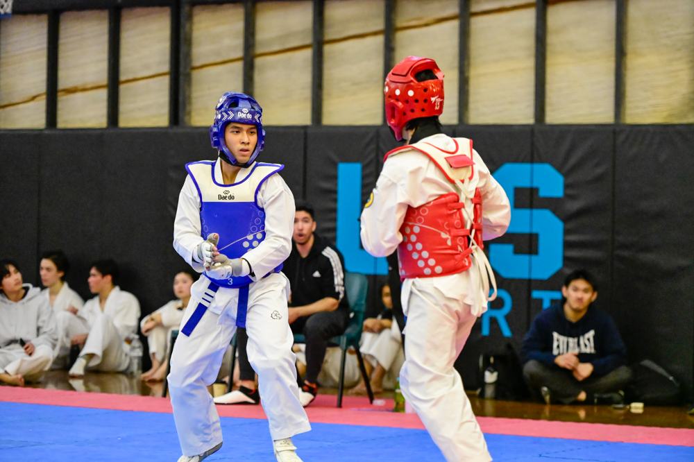 TDog Taekwondo competition G336