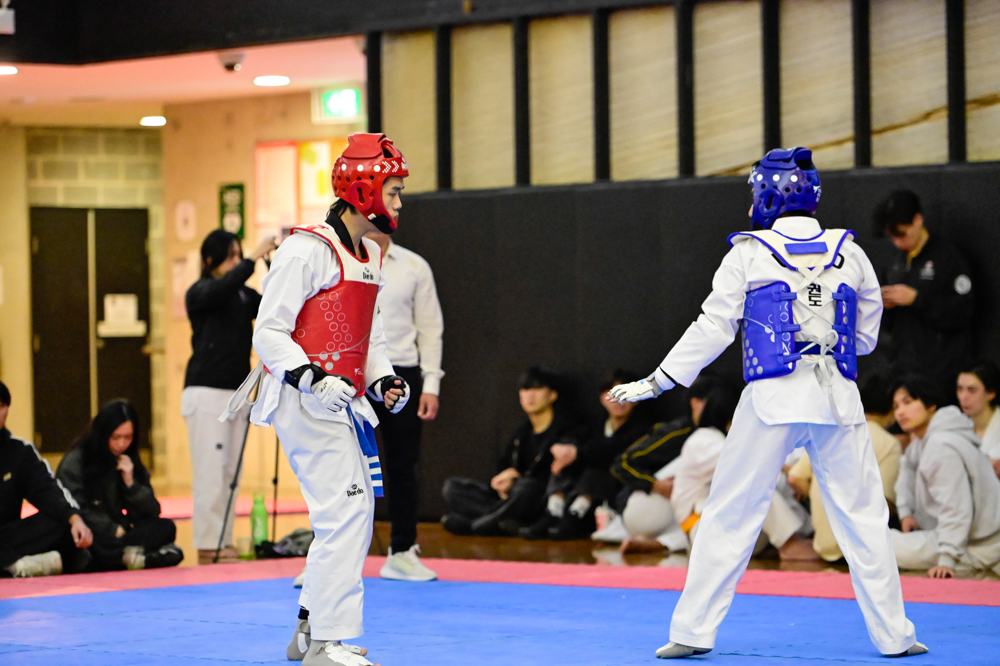 TDog Taekwondo competition G337