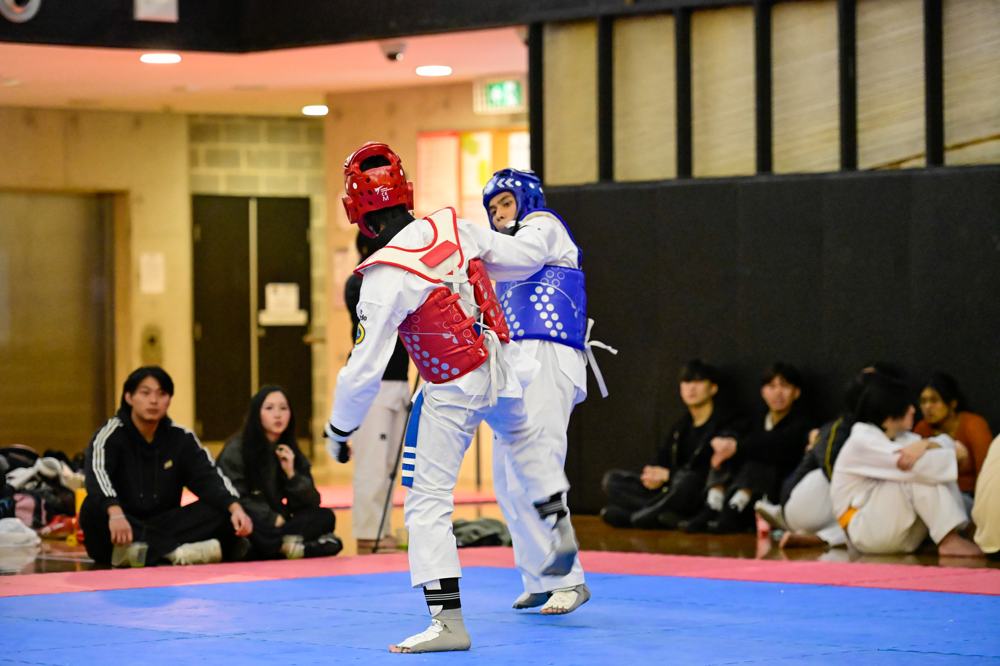 TDog Taekwondo competition G338