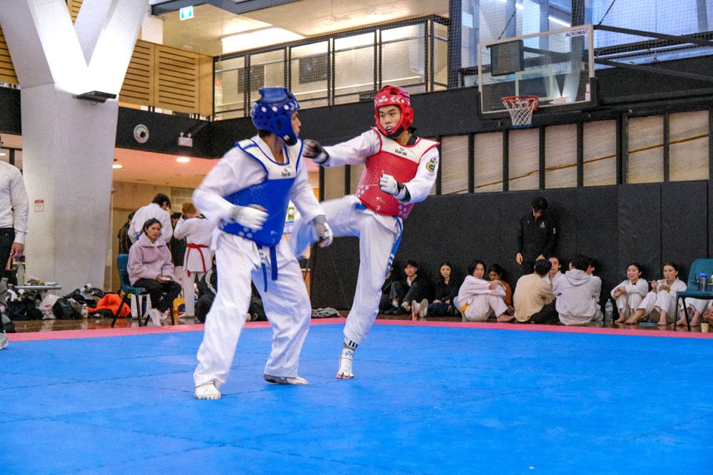 TDog Taekwondo competition G340