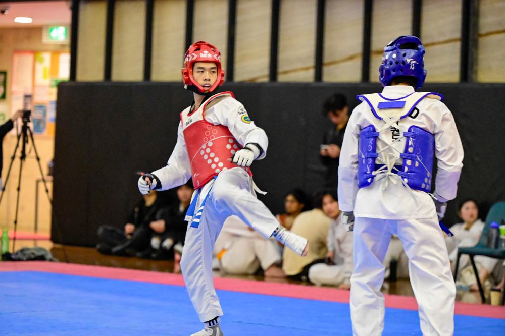 TDog Taekwondo competition G342