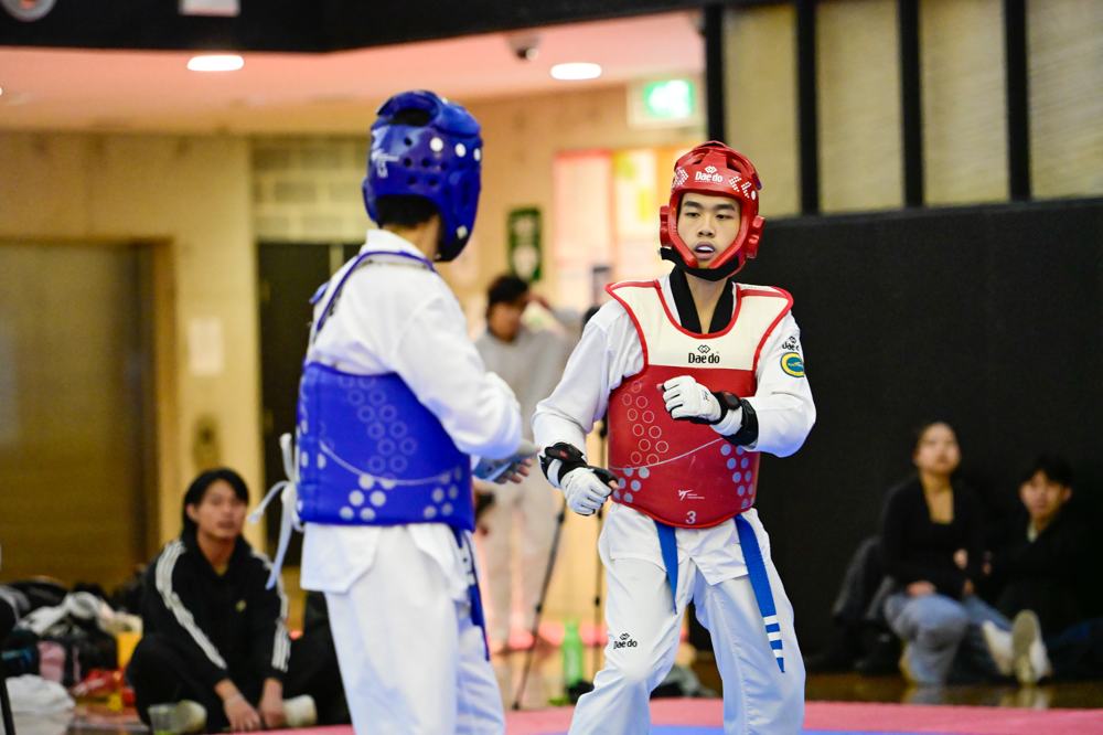 TDog Taekwondo competition G343