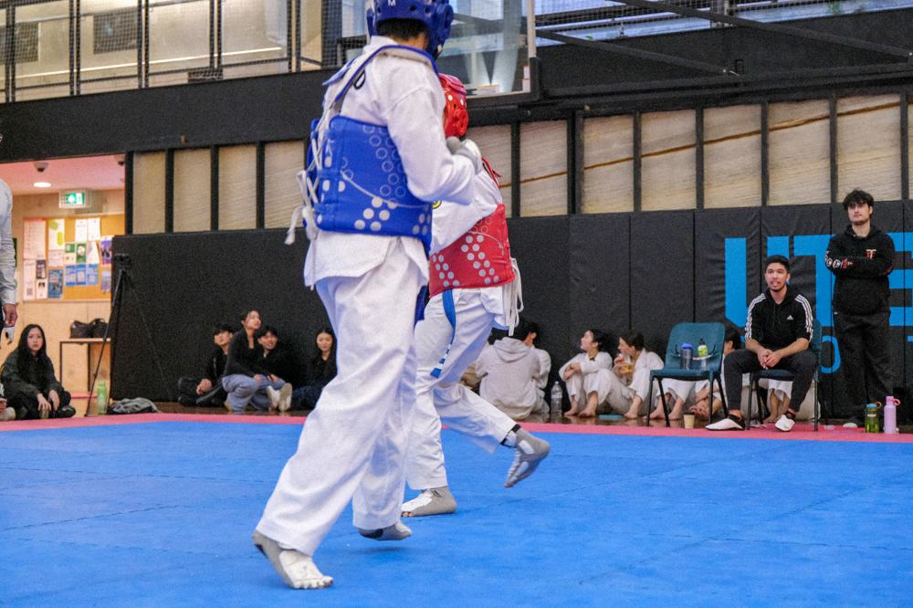 TDog Taekwondo competition G344