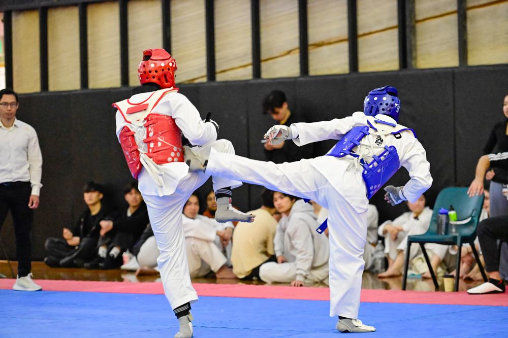 TDog Taekwondo competition G345