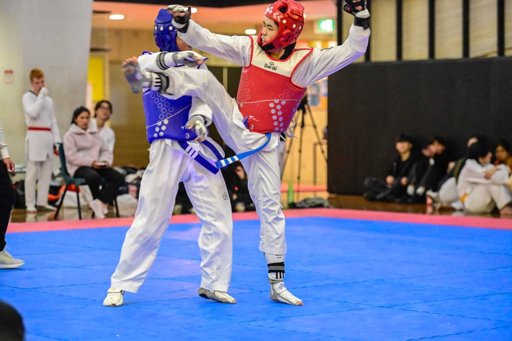 TDog Taekwondo competition G347