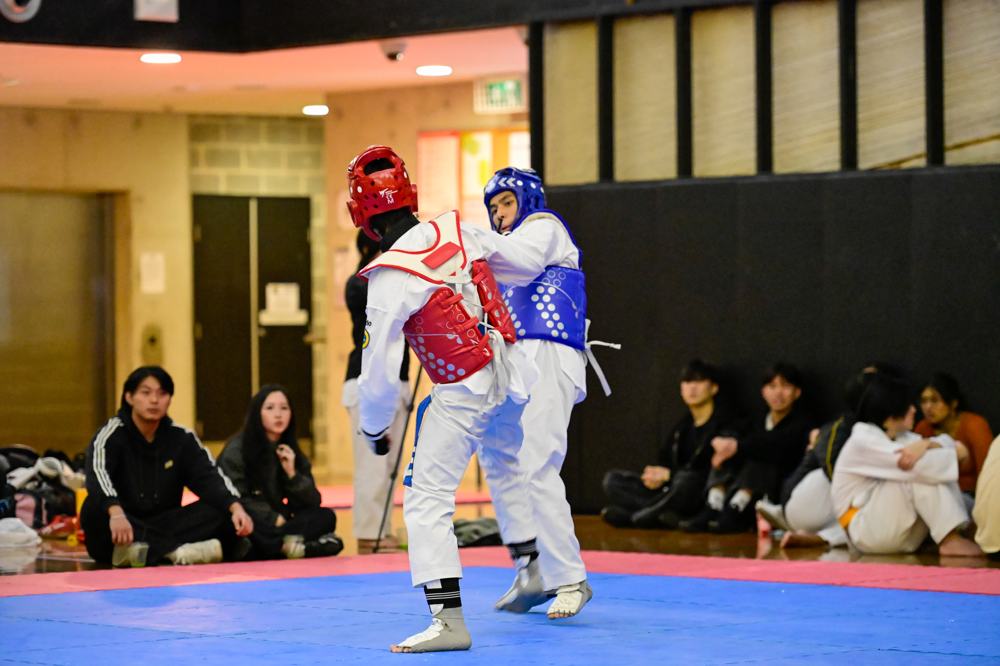 TDog Taekwondo competition G348