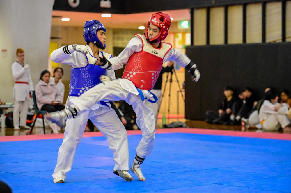 TDog Taekwondo competition G349