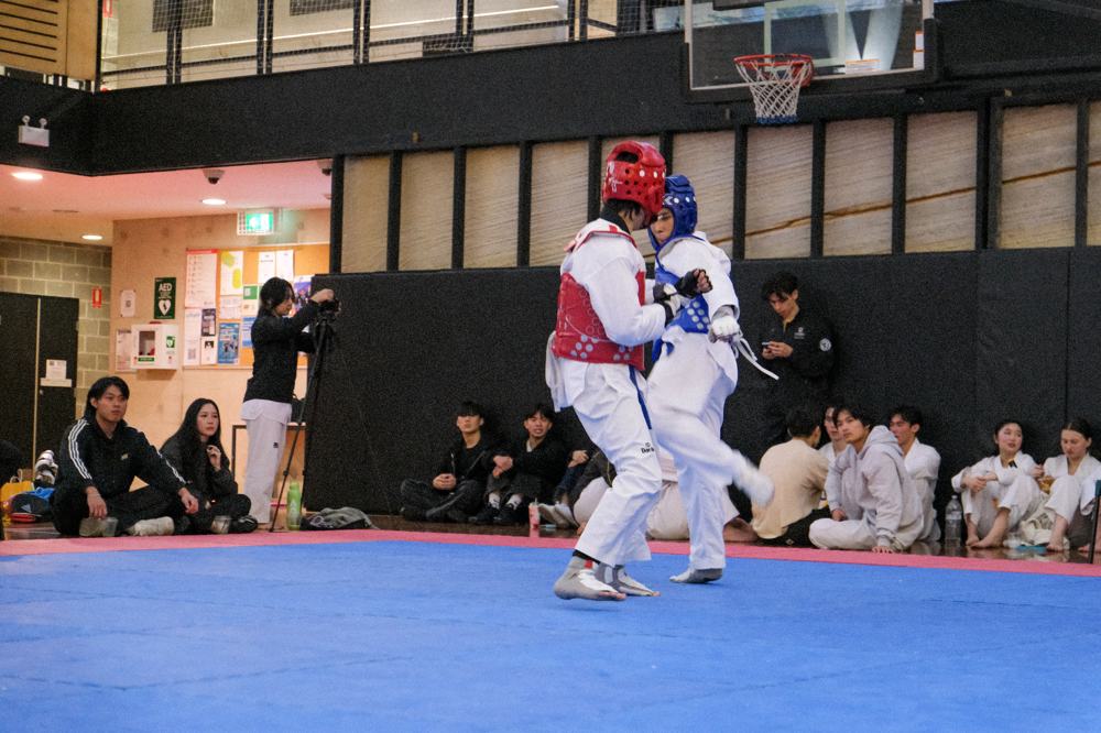 TDog Taekwondo competition G350