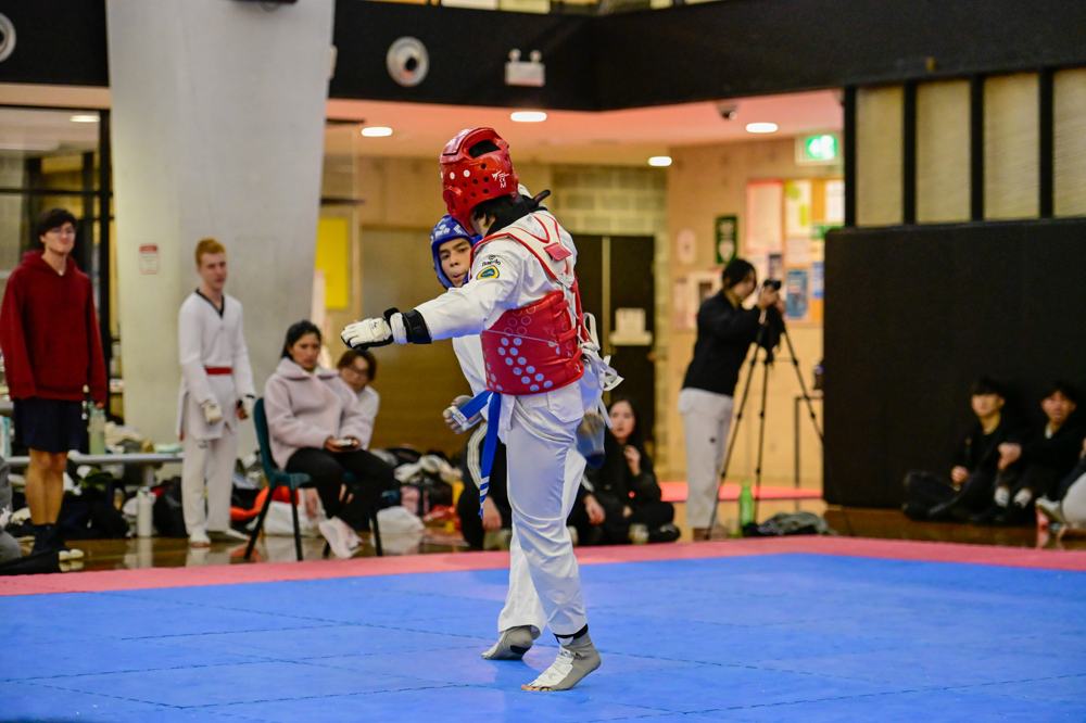 TDog Taekwondo competition G351