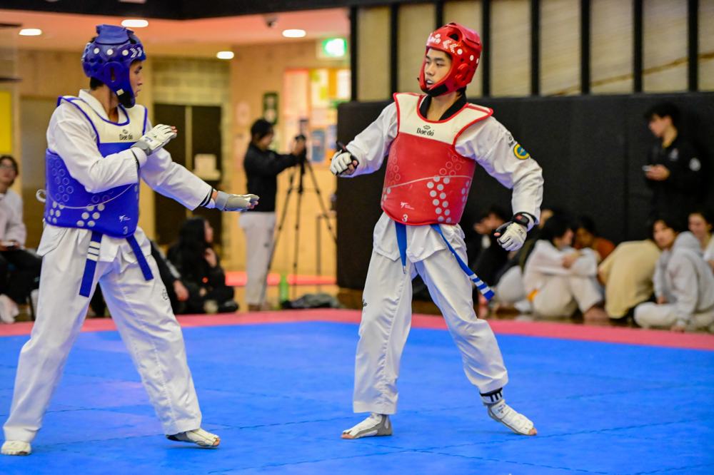 TDog Taekwondo competition G352