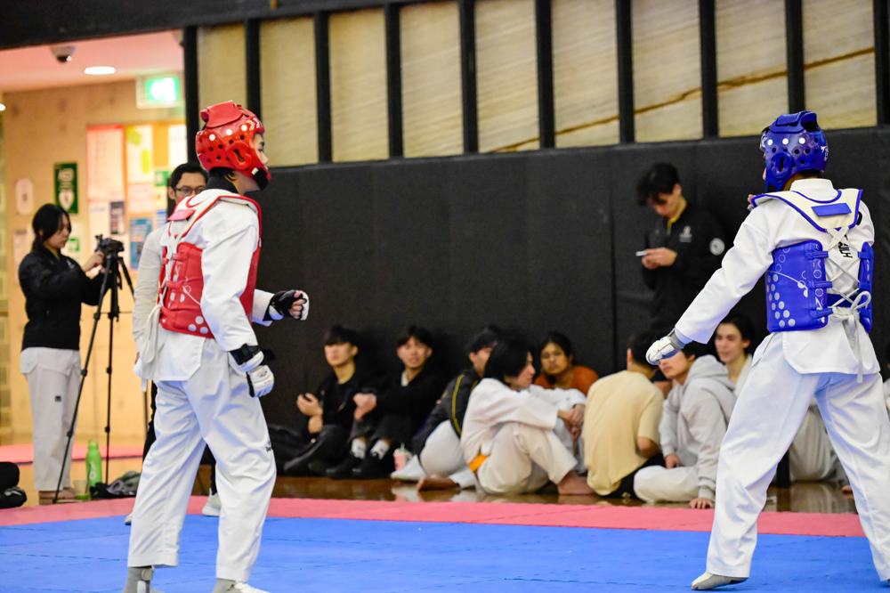 TDog Taekwondo competition G353