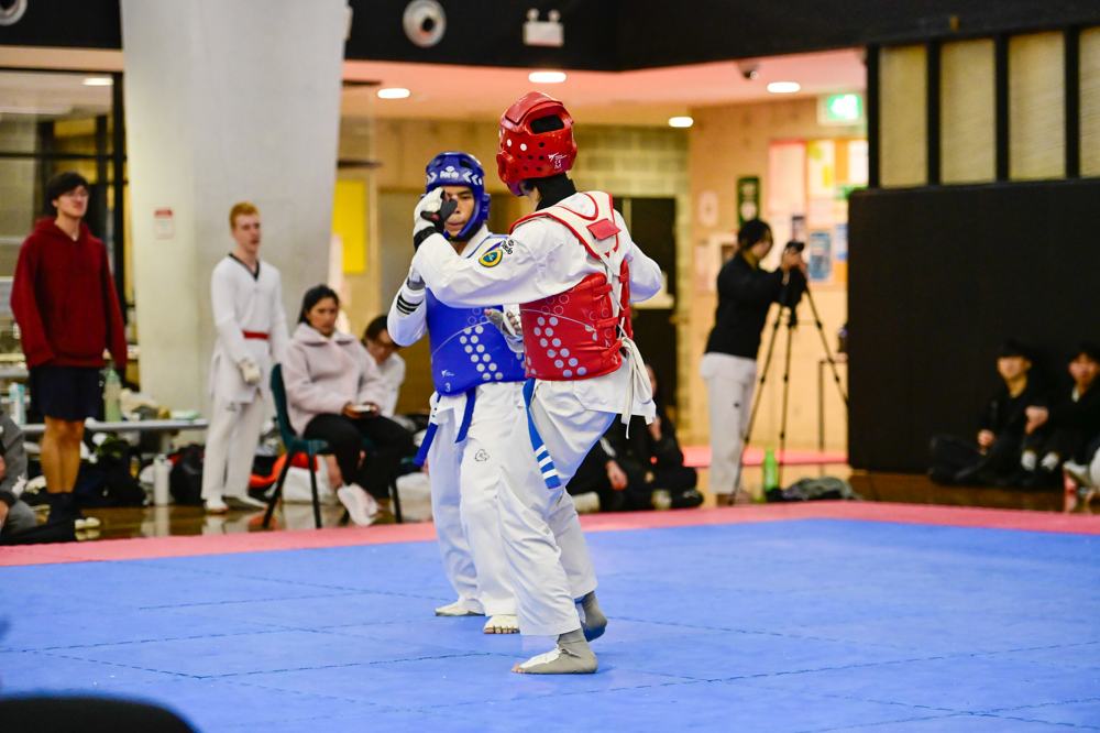 TDog Taekwondo competition G354