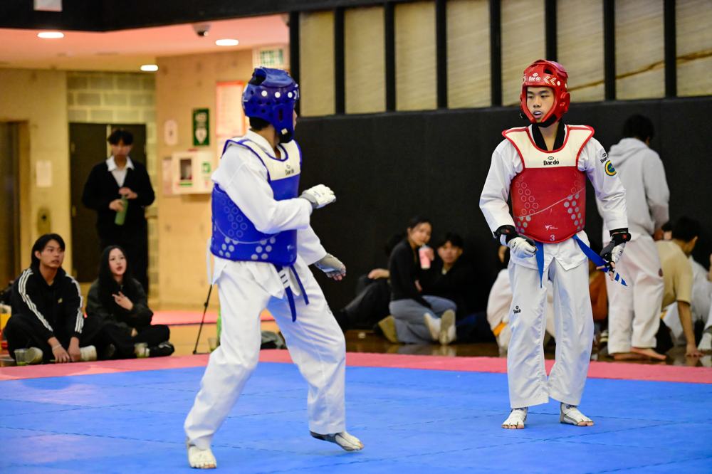 TDog Taekwondo competition G357