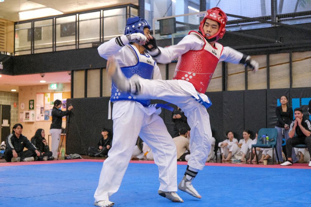 TDog Taekwondo competition G358