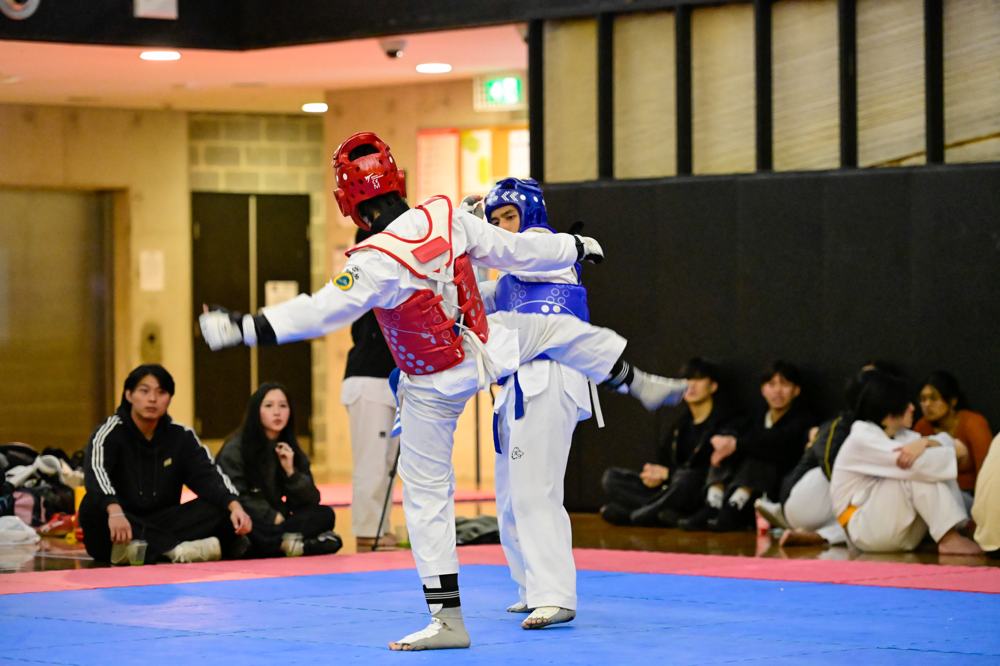 TDog Taekwondo competition G359