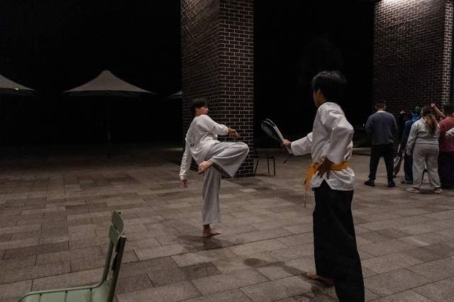 TDog Taekwondo training G36