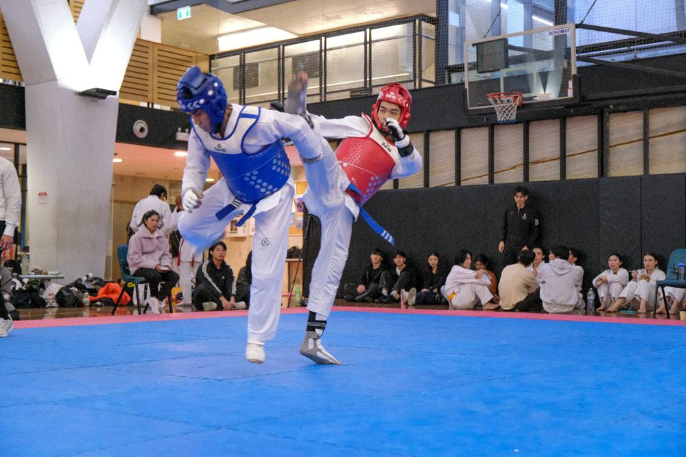 TDog Taekwondo competition G361