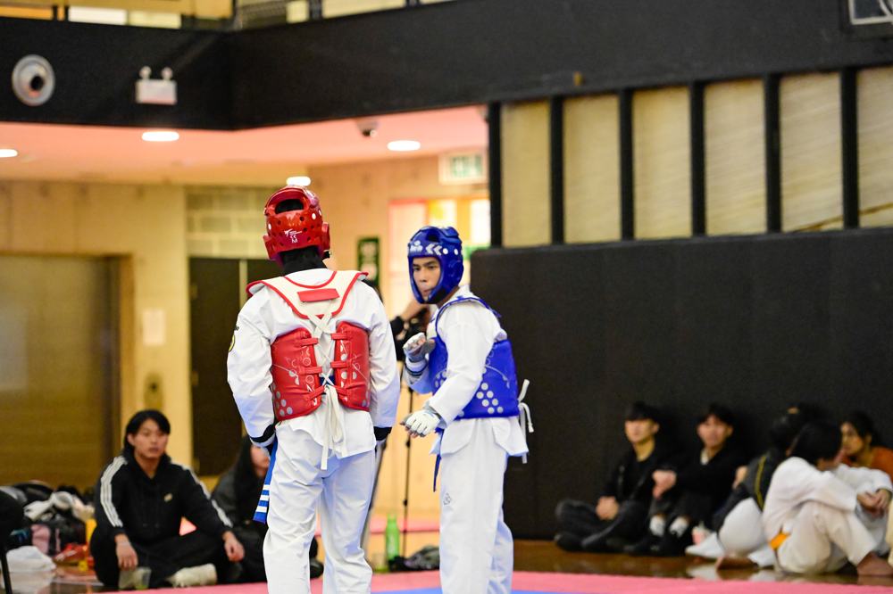 TDog Taekwondo competition G362
