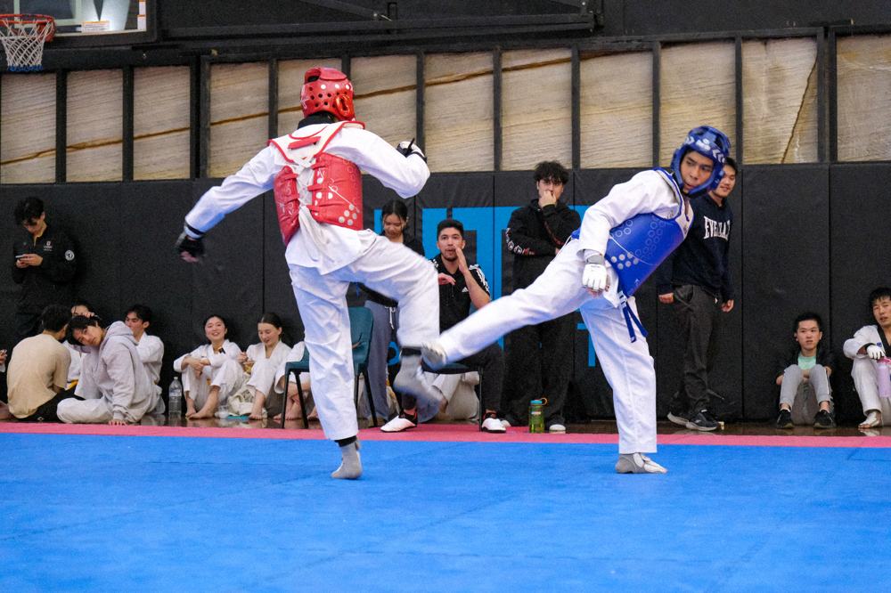 TDog Taekwondo competition G363
