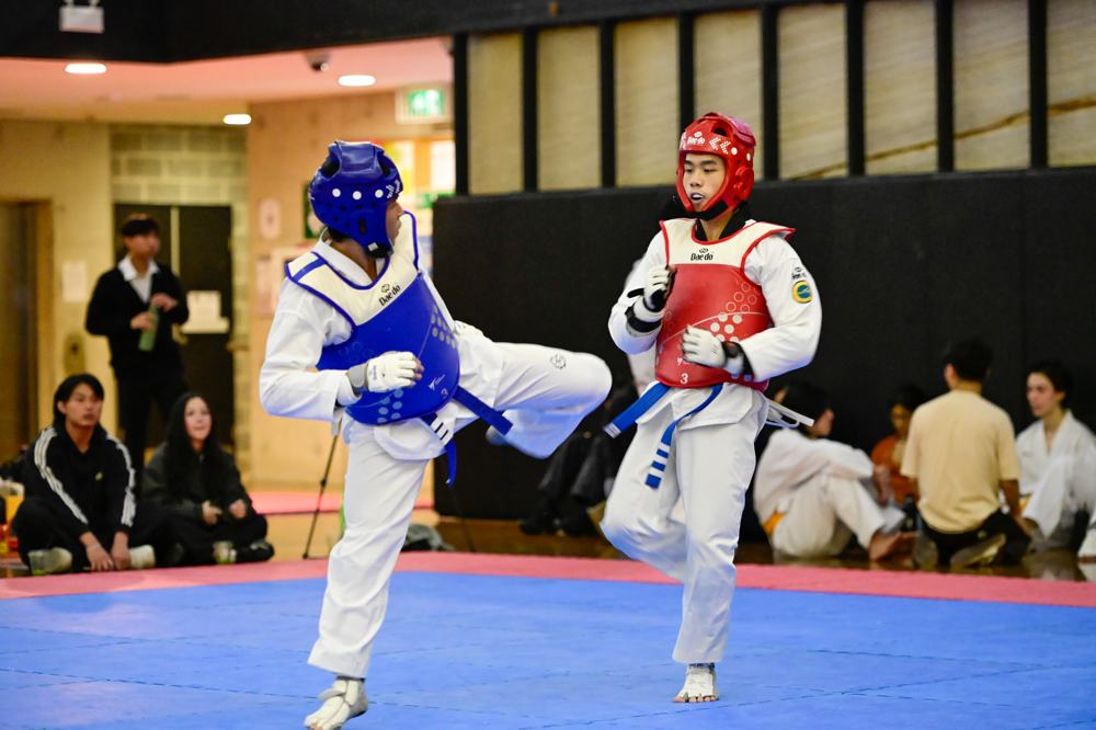 TDog Taekwondo competition G364