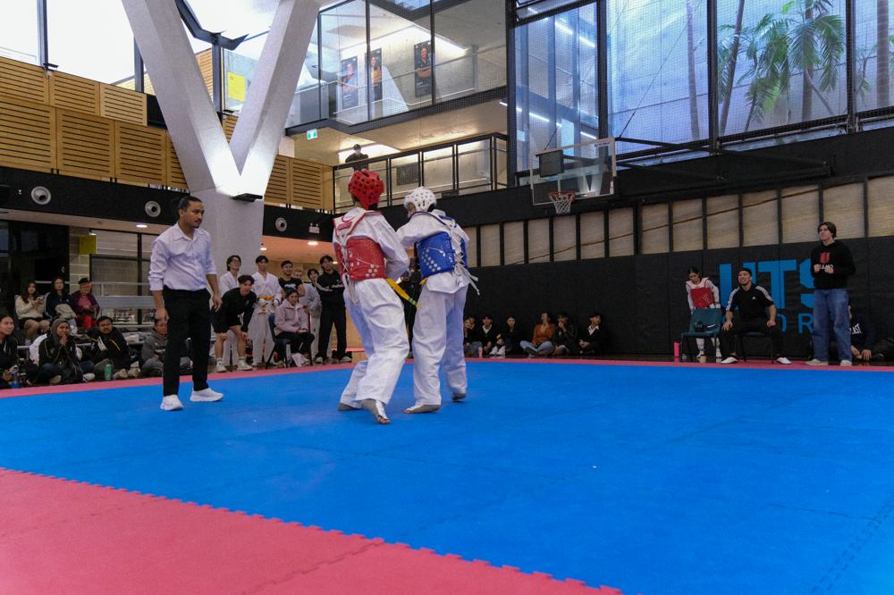 TDog Taekwondo competition G366