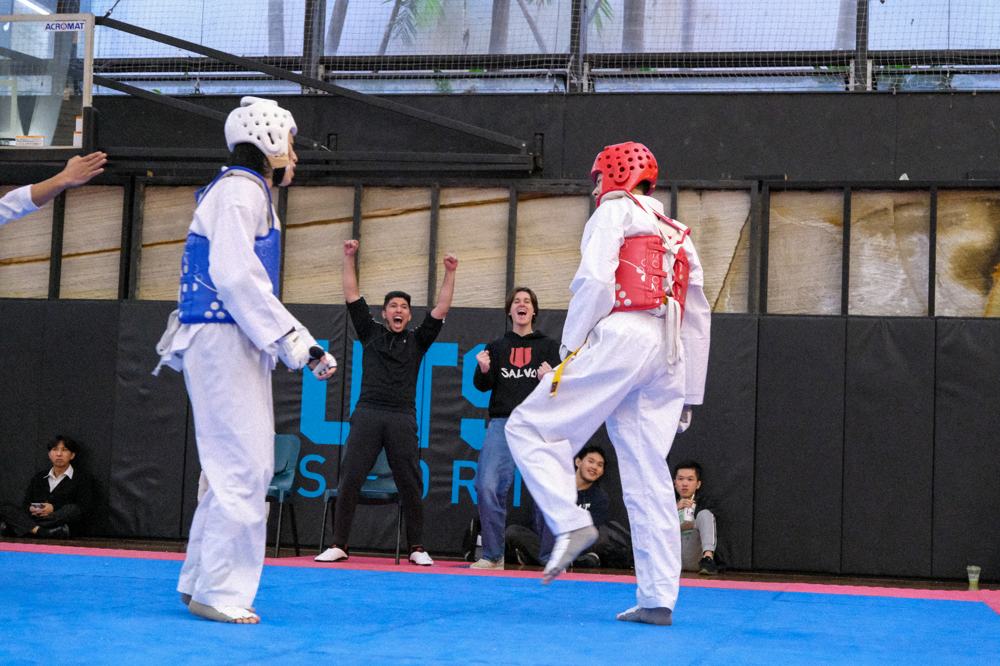 TDog Taekwondo competition G367